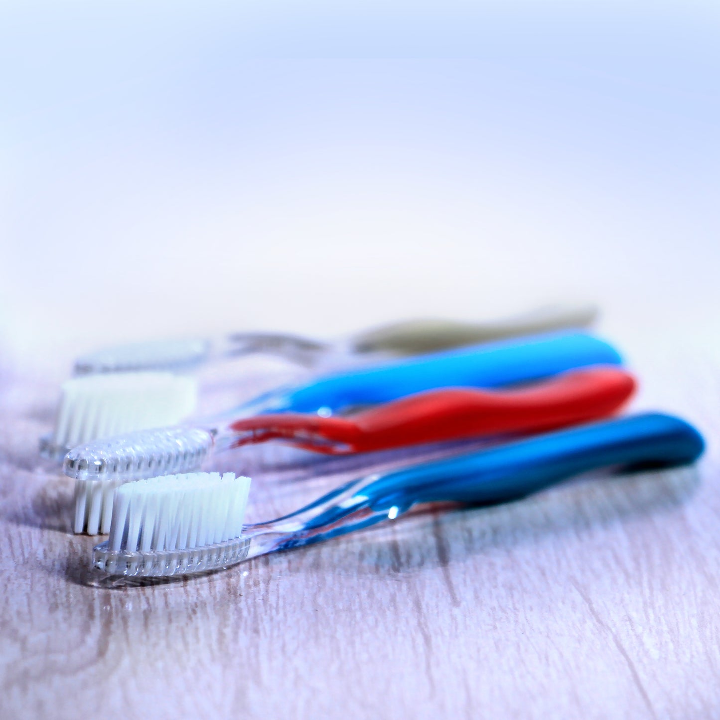LILLYROSE MODEL 724. Pack of 12 toothbrushes.