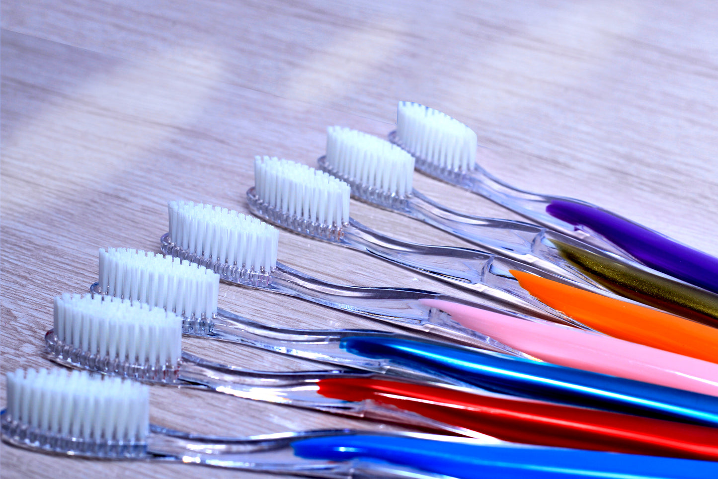 LILLYROSE MODEL 724. Pack of 12 toothbrushes.